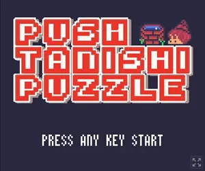 PUSH TANISHI PUZZLE スクリーンショット1