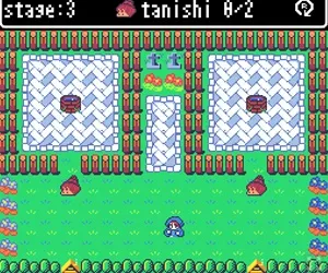 PUSH TANISHI PUZZLE スクリーンショット2